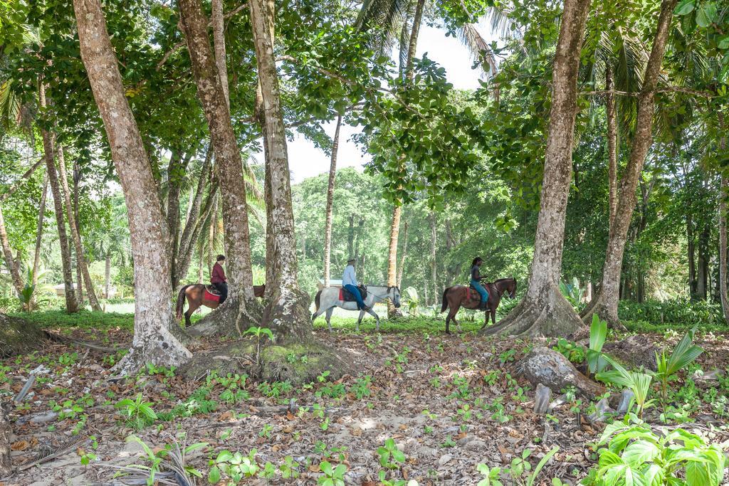 Relax Natural Village Adults Only Puerto Viejo de Talamanca Экстерьер фото