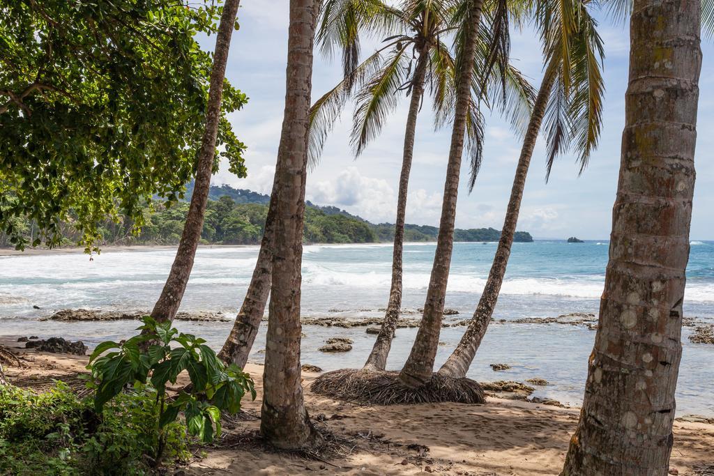 Relax Natural Village Adults Only Puerto Viejo de Talamanca Экстерьер фото